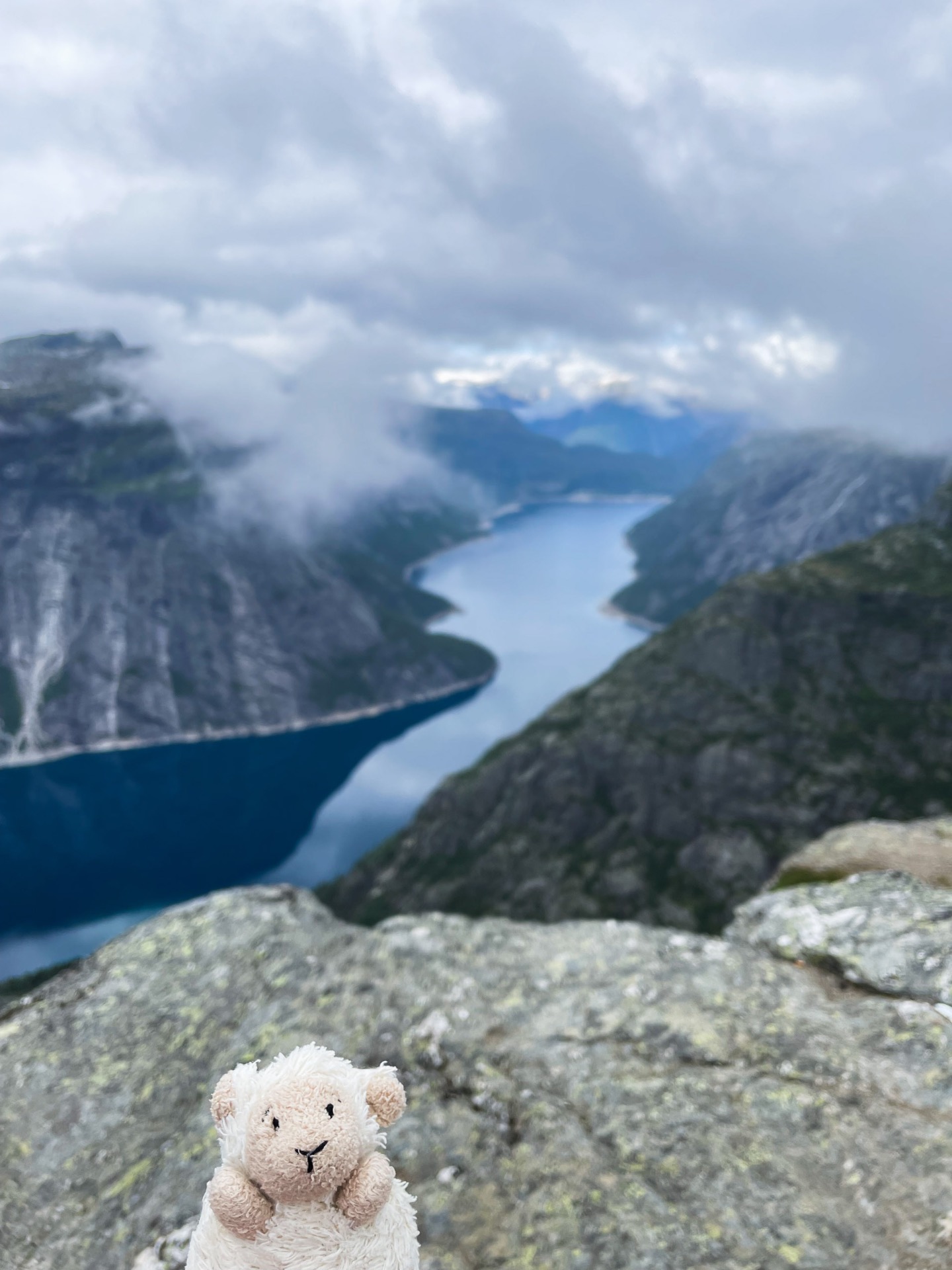 Wollie bij de rotsformatie Trolltunga in Noorwegen