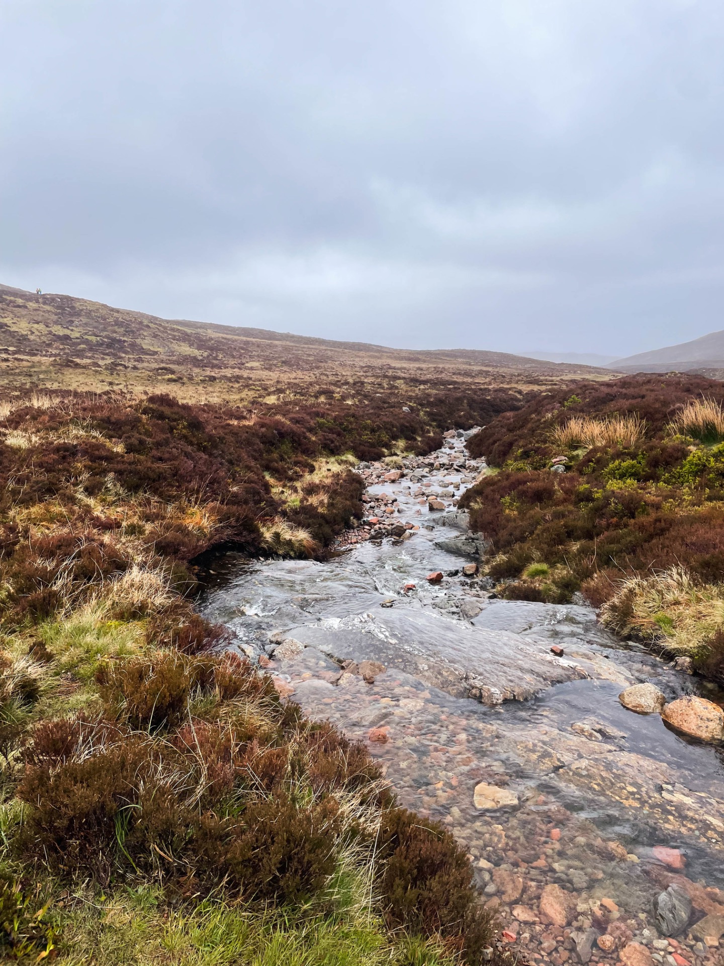 Een kleine rivier stroomt door een ruig, regenachtig landschap.